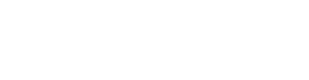 Orient Analytics Logo